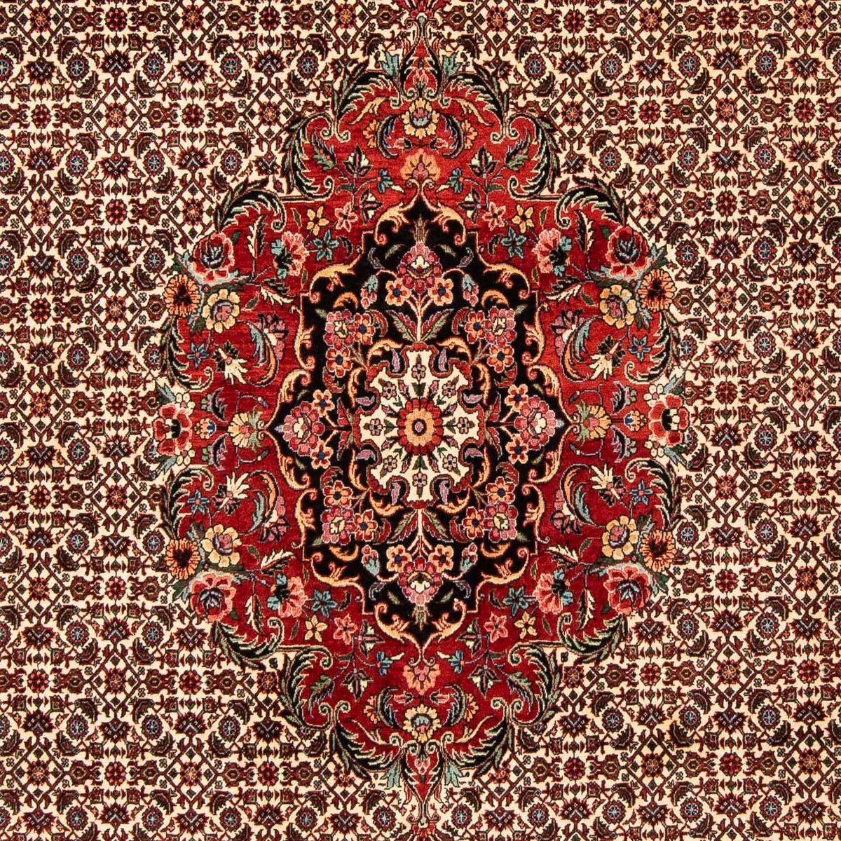 Alfombra persa - Bidjar - 258 x 200 cm - rojo oscuro