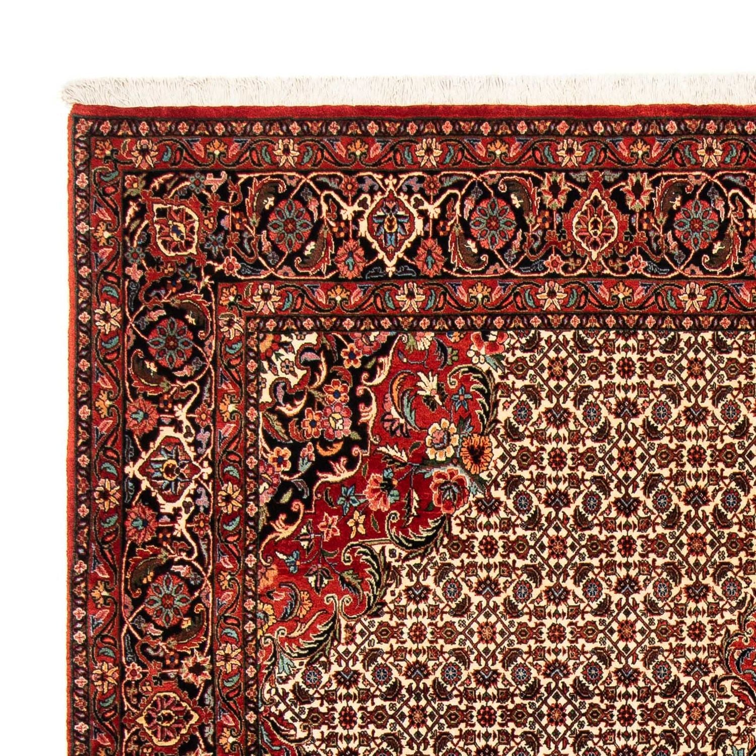 Alfombra persa - Bidjar - 258 x 200 cm - rojo oscuro