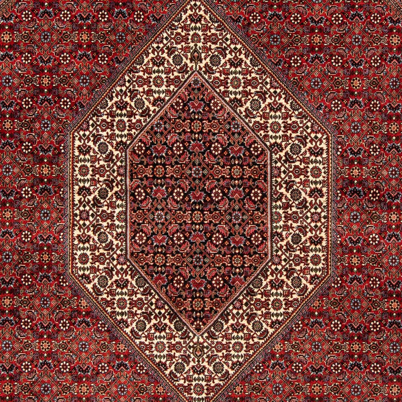 Alfombra persa - Bidjar - 244 x 200 cm - rojo oscuro