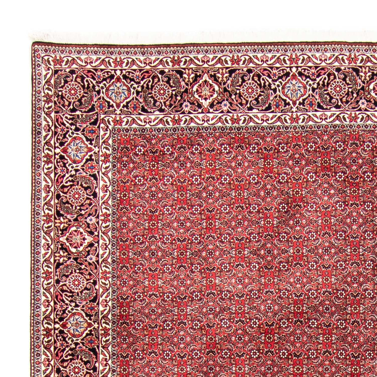 Alfombra persa - Bidjar - 340 x 255 cm - rojo claro
