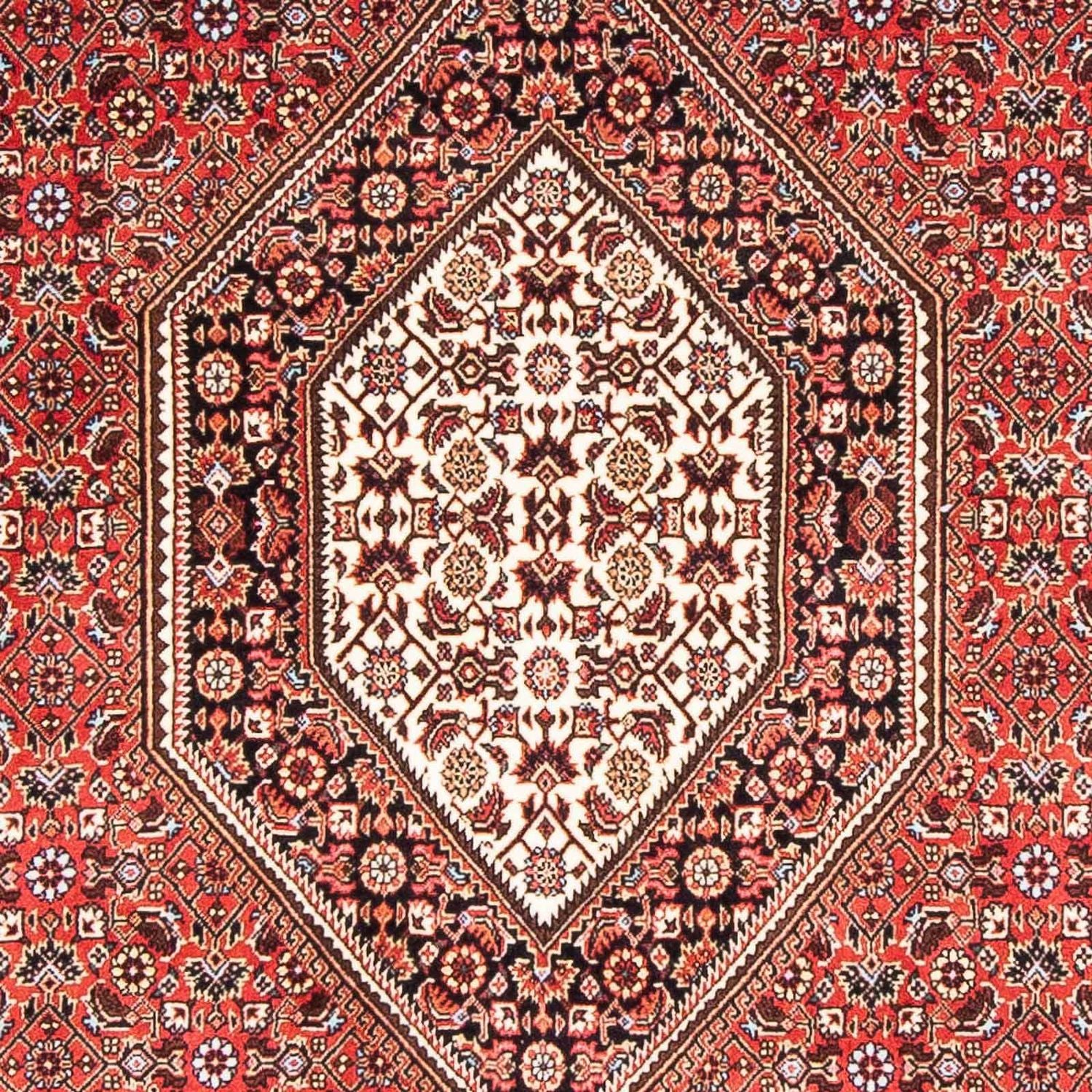Alfombra persa - Bidjar - 186 x 110 cm - rojo