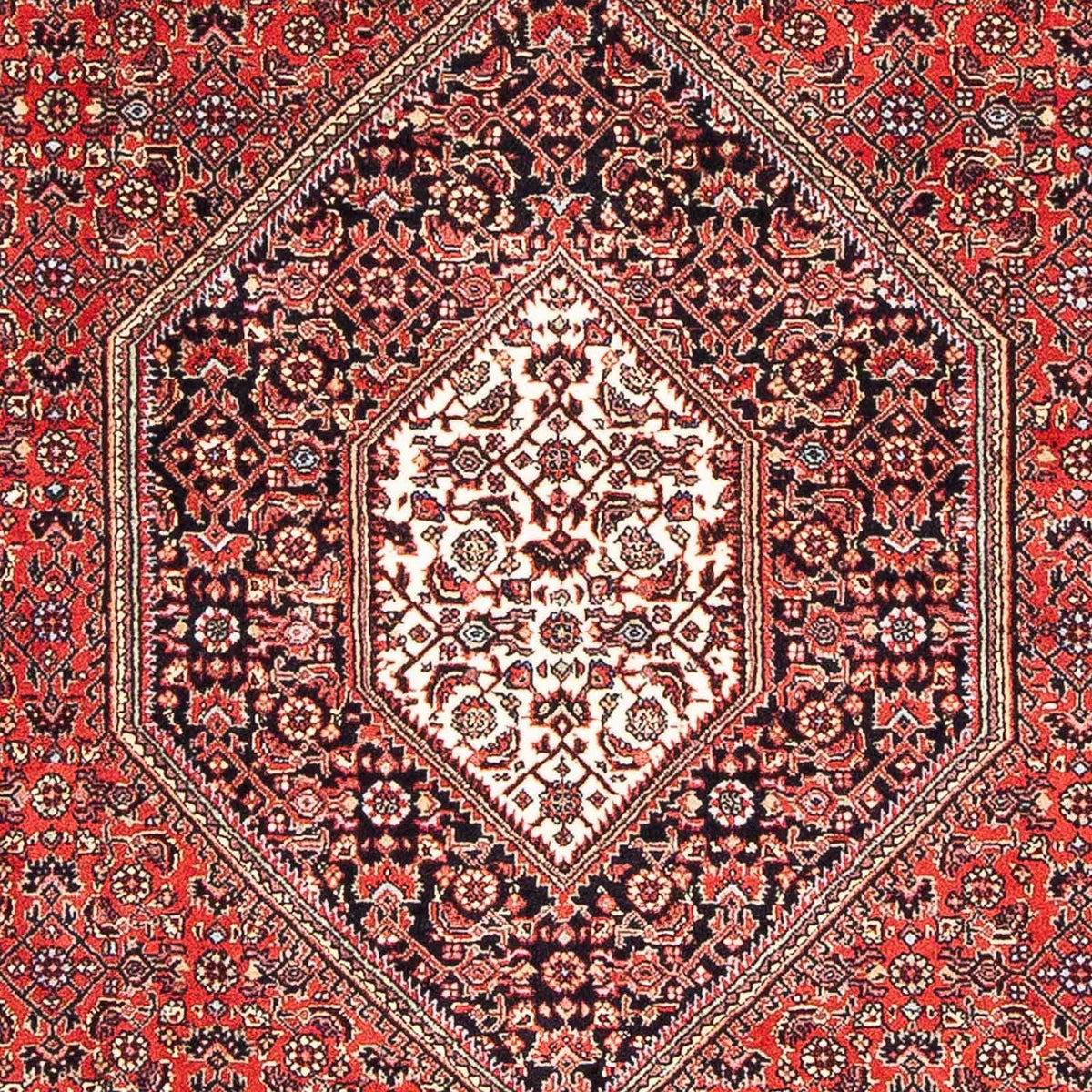 Alfombra persa - Bidjar - 170 x 110 cm - rojo