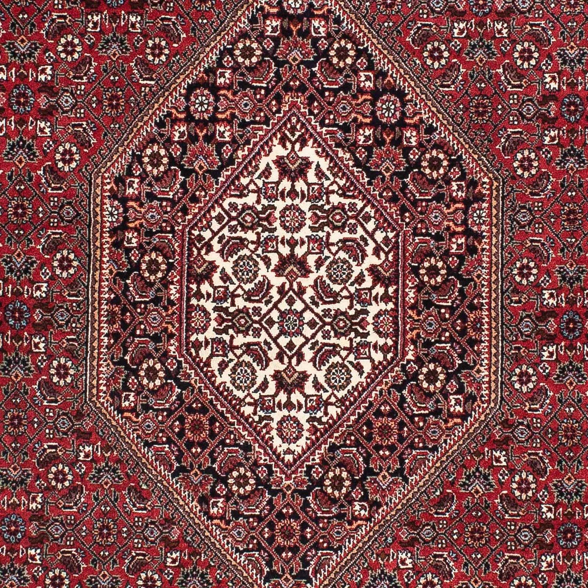 Alfombra persa - Bidjar - 173 x 106 cm - rojo