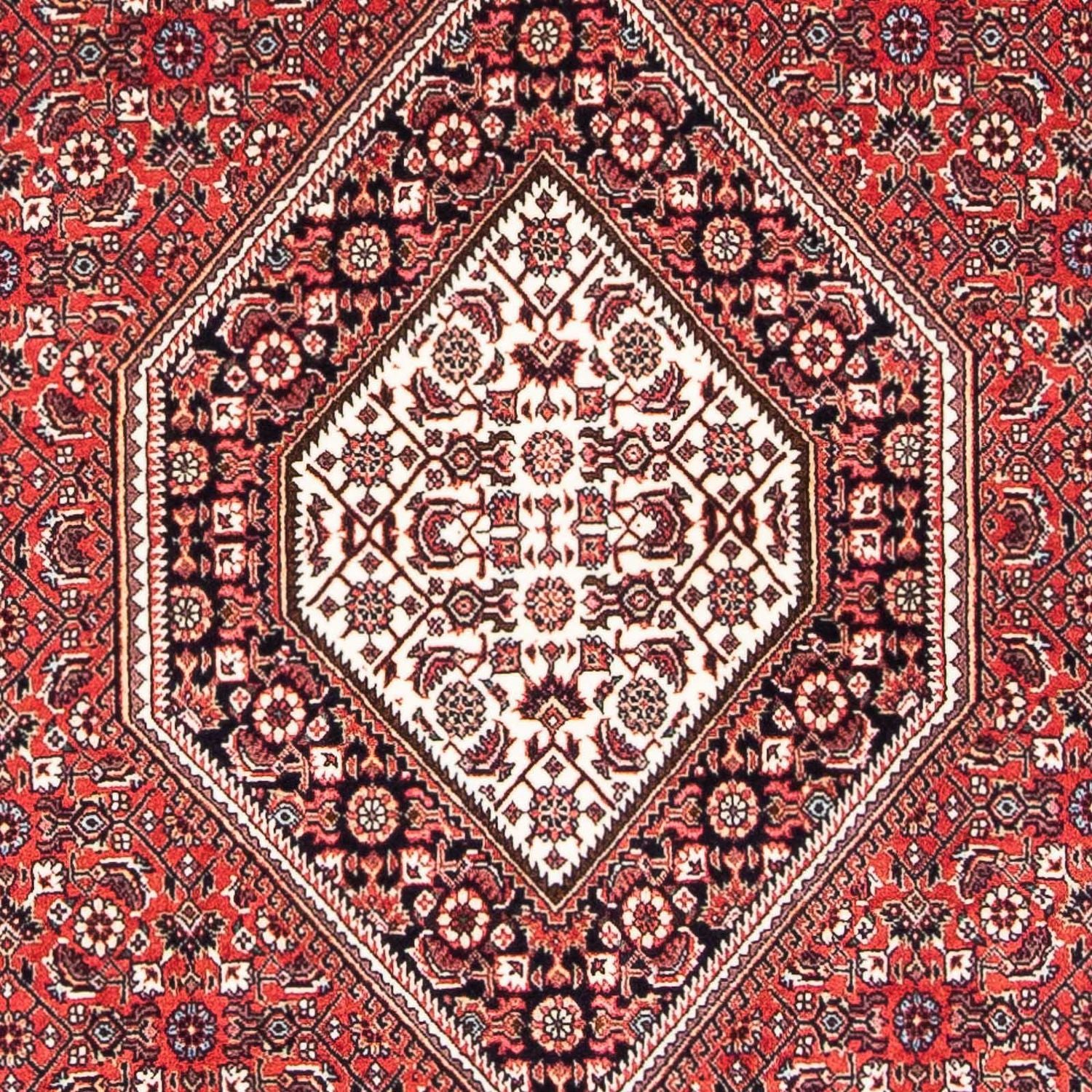 Alfombra persa - Bidjar - 174 x 110 cm - rojo claro