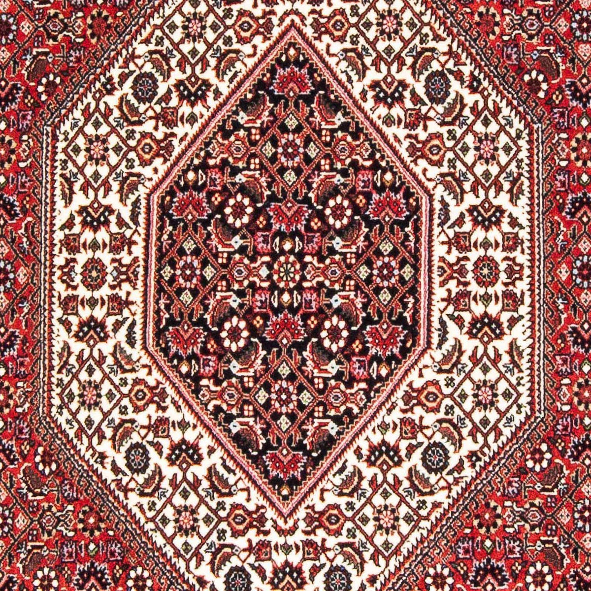 Alfombra persa - Bidjar - 177 x 110 cm - rojo