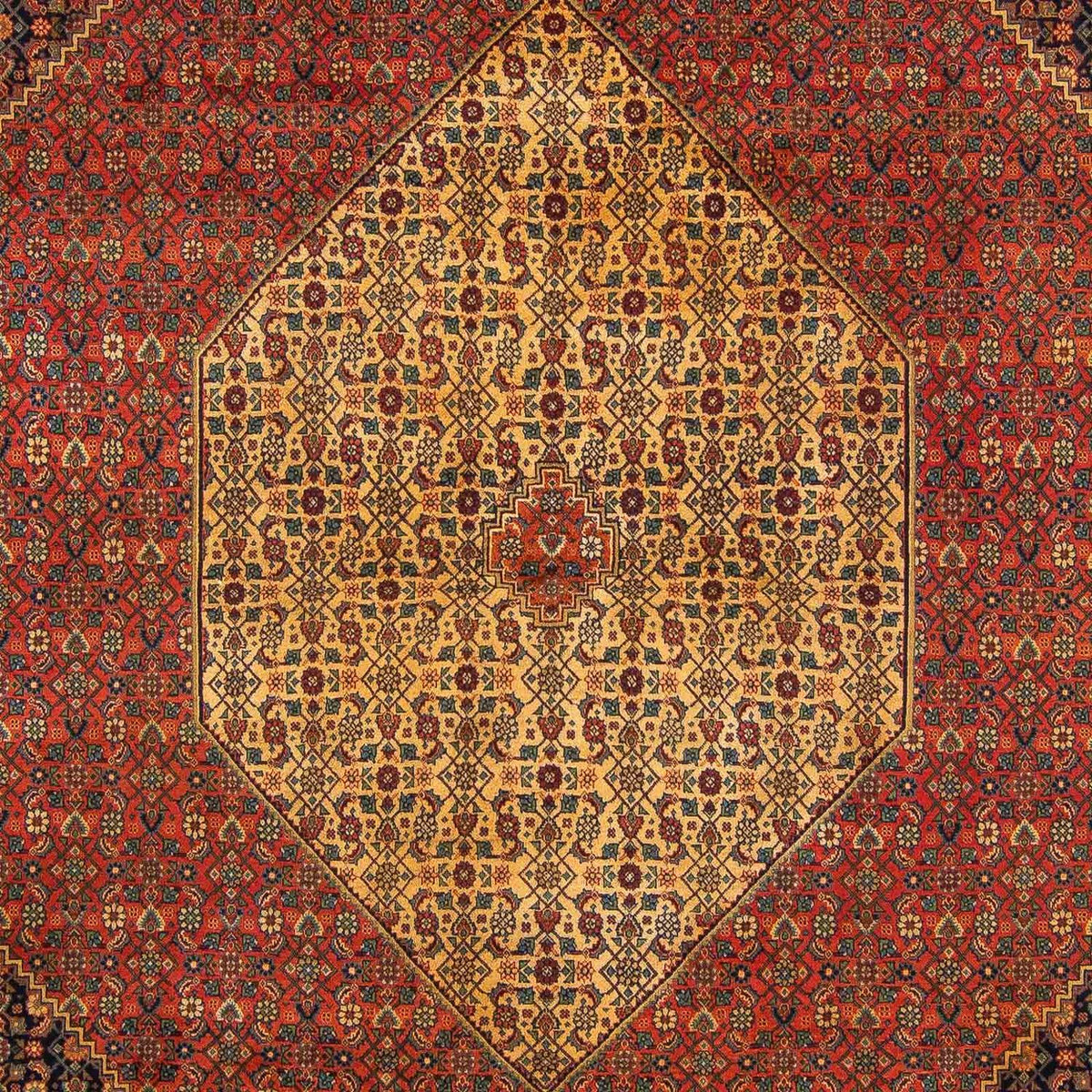 Alfombra Persa - Tabriz - Real - 337 x 251 cm - rojo oscuro