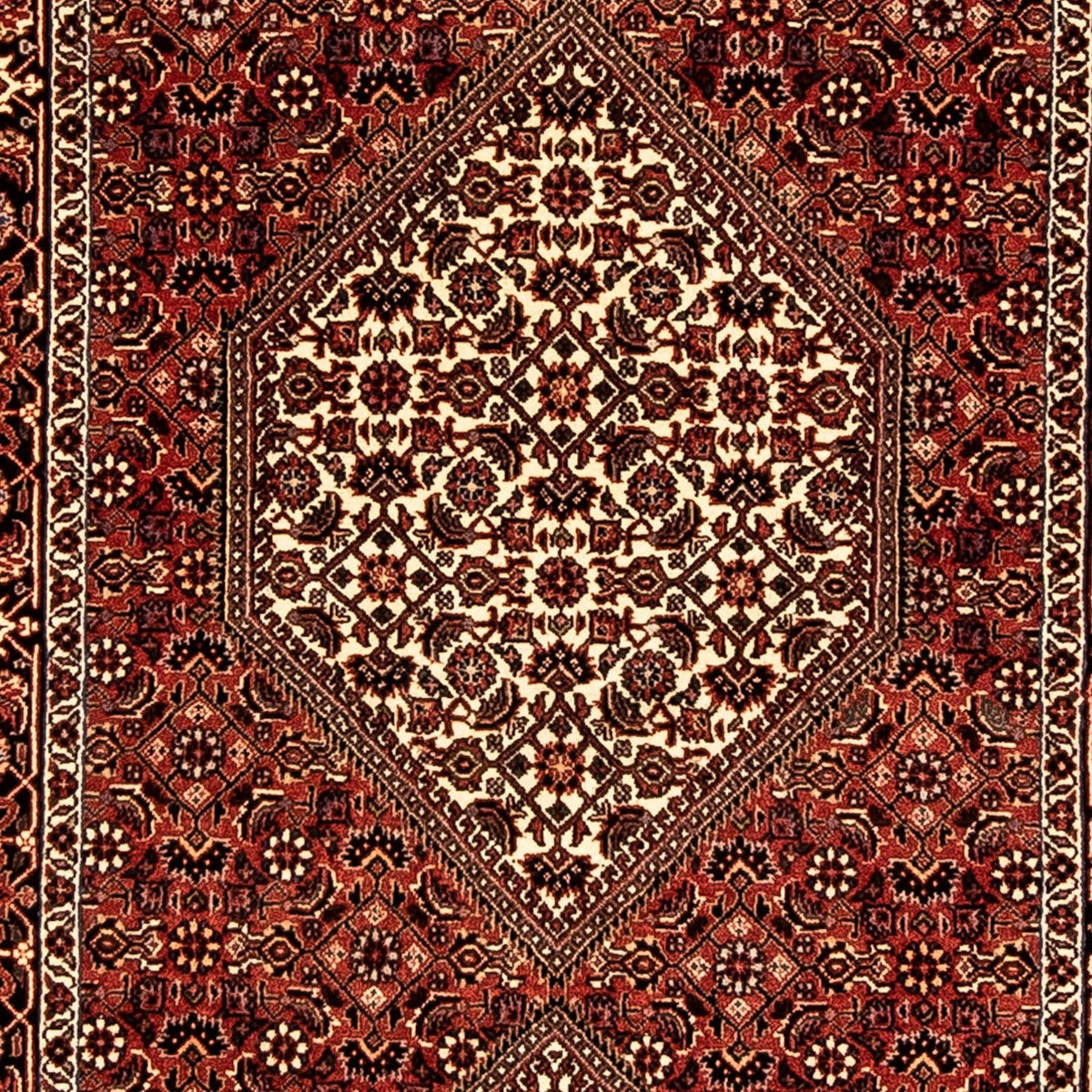 Alfombra de pasillo Alfombra persa - Bidjar - 318 x 83 cm - rojo oscuro