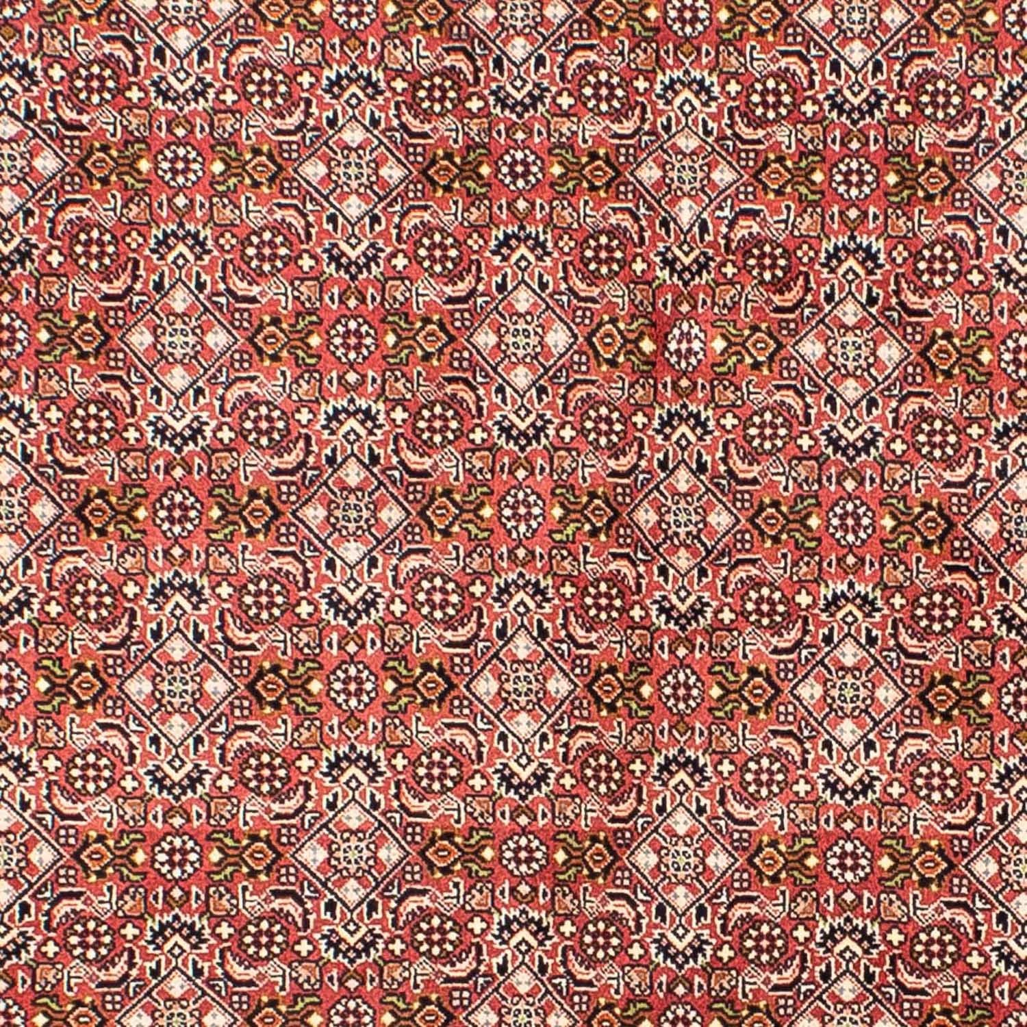 Alfombra persa - Bidjar - 215 x 136 cm - rojo claro