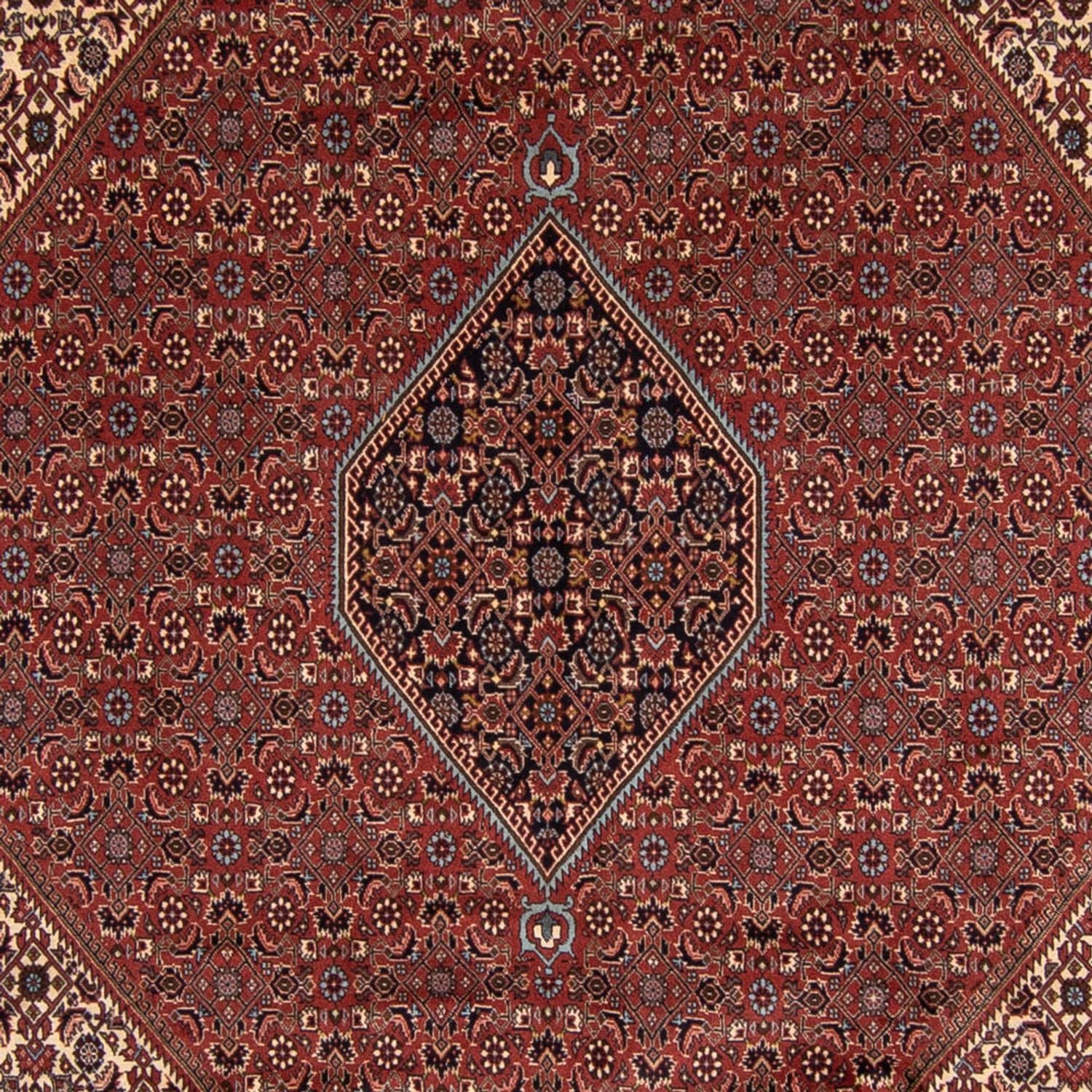 Alfombra persa - Bidjar - 342 x 250 cm - marrón
