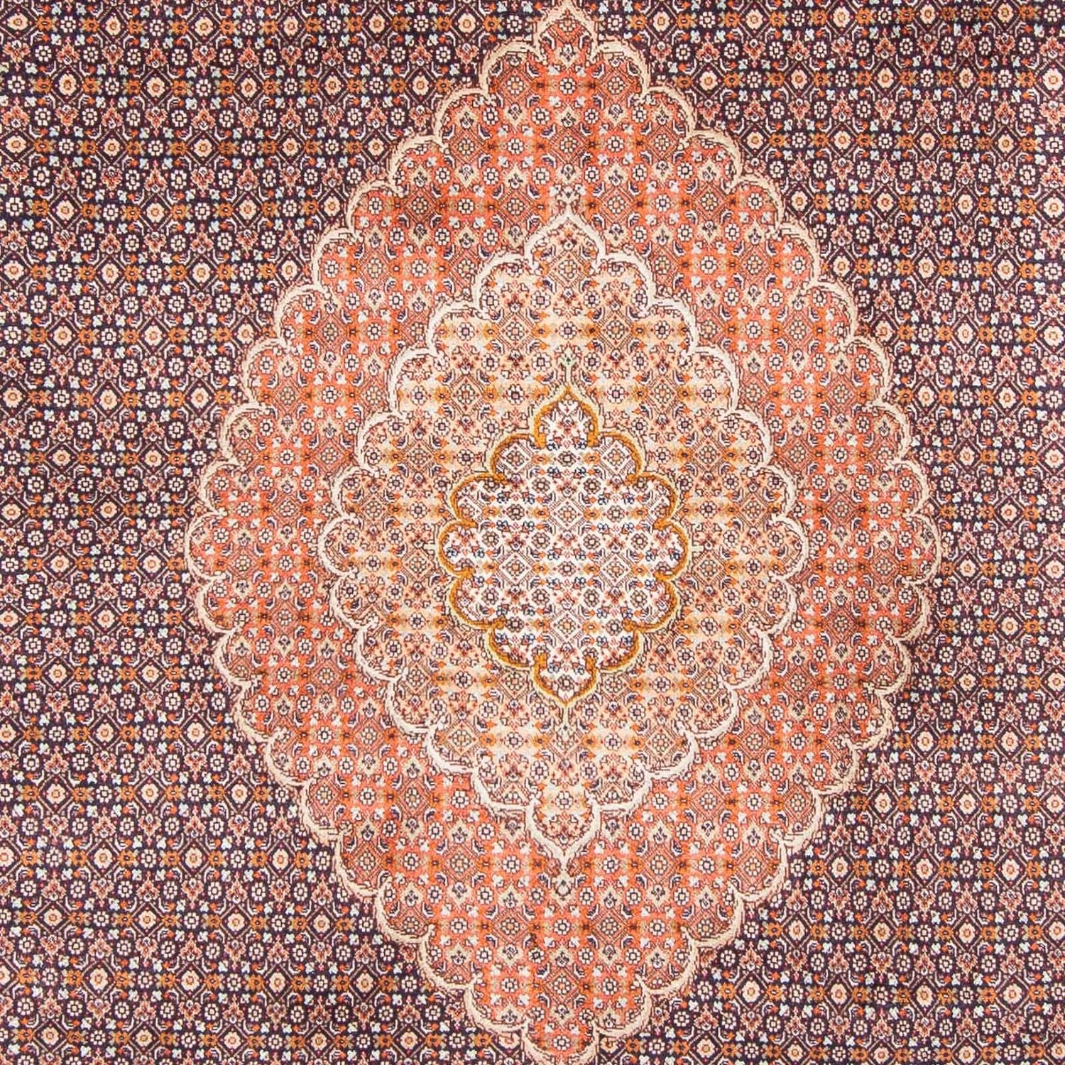 Alfombra persa - Tabriz - 312 x 206 cm - azul oscuro