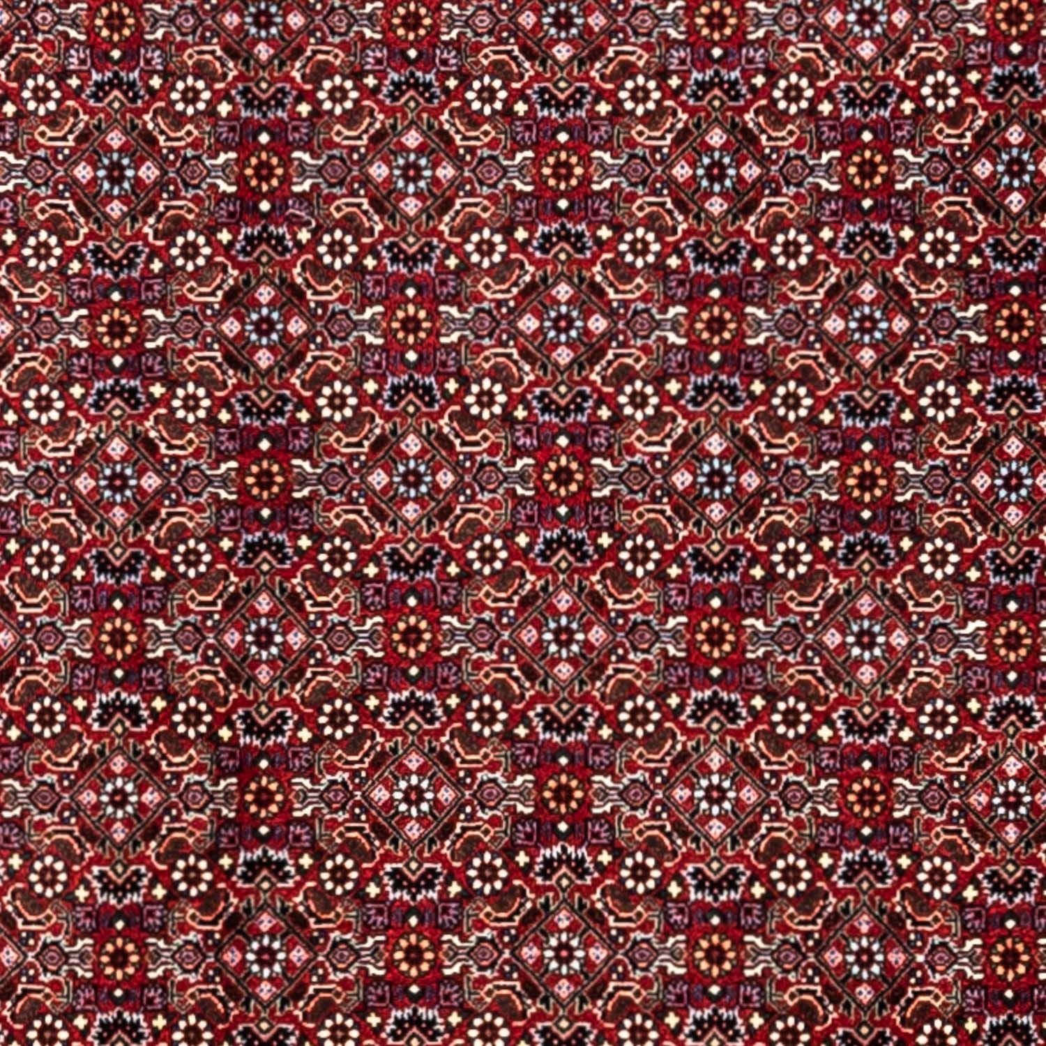 Alfombra persa - Bidjar - 340 x 252 cm - rojo