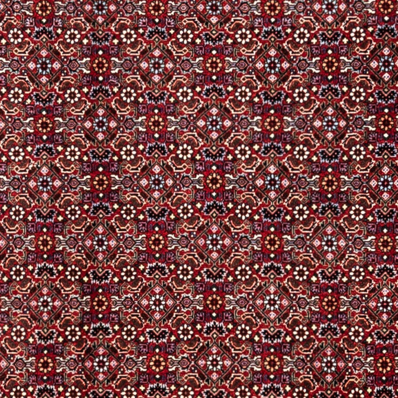 Alfombra persa - Bidjar - 340 x 252 cm - rojo