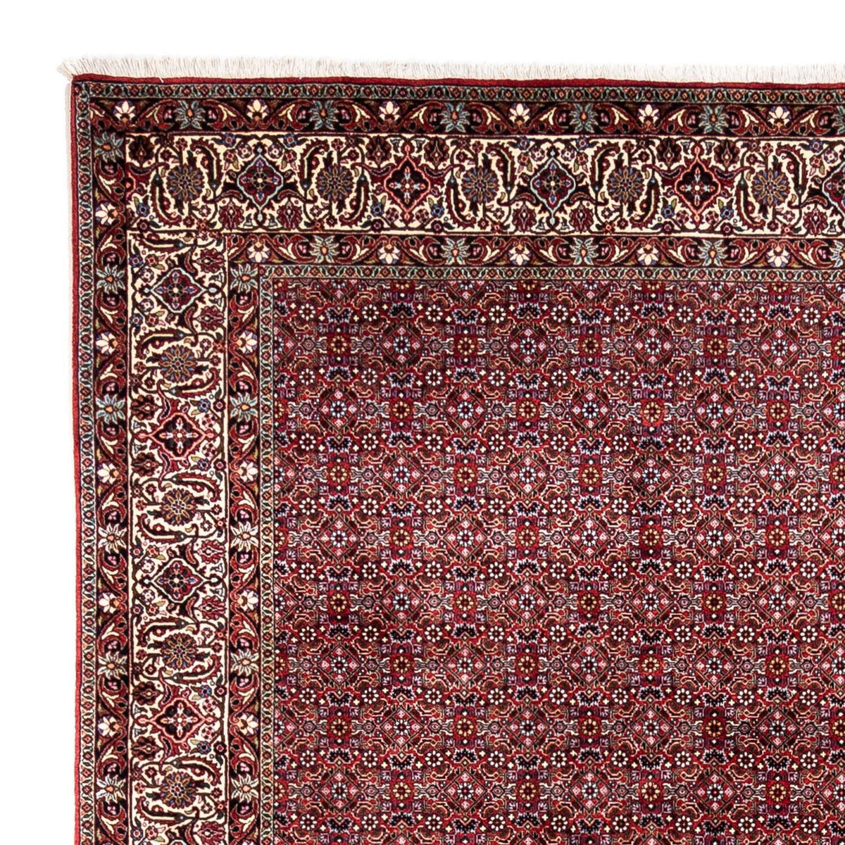Alfombra persa - Bidjar - 340 x 252 cm - rojo