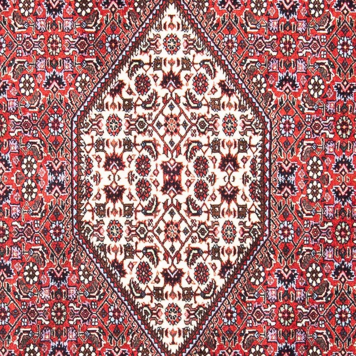 Alfombra persa - Bidjar - 169 x 106 cm - rojo claro