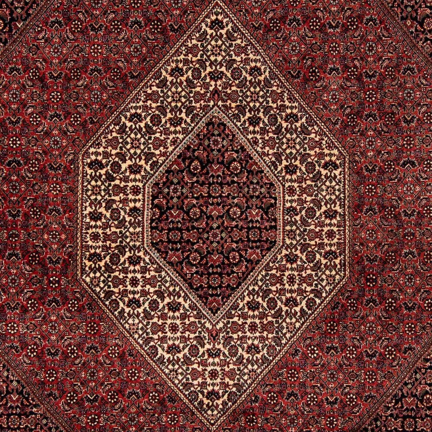 Alfombra persa - Bidjar - 259 x 201 cm - rojo oscuro