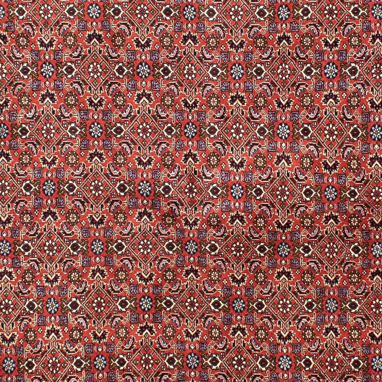 Alfombra persa - Bidjar - 288 x 202 cm - rojo claro