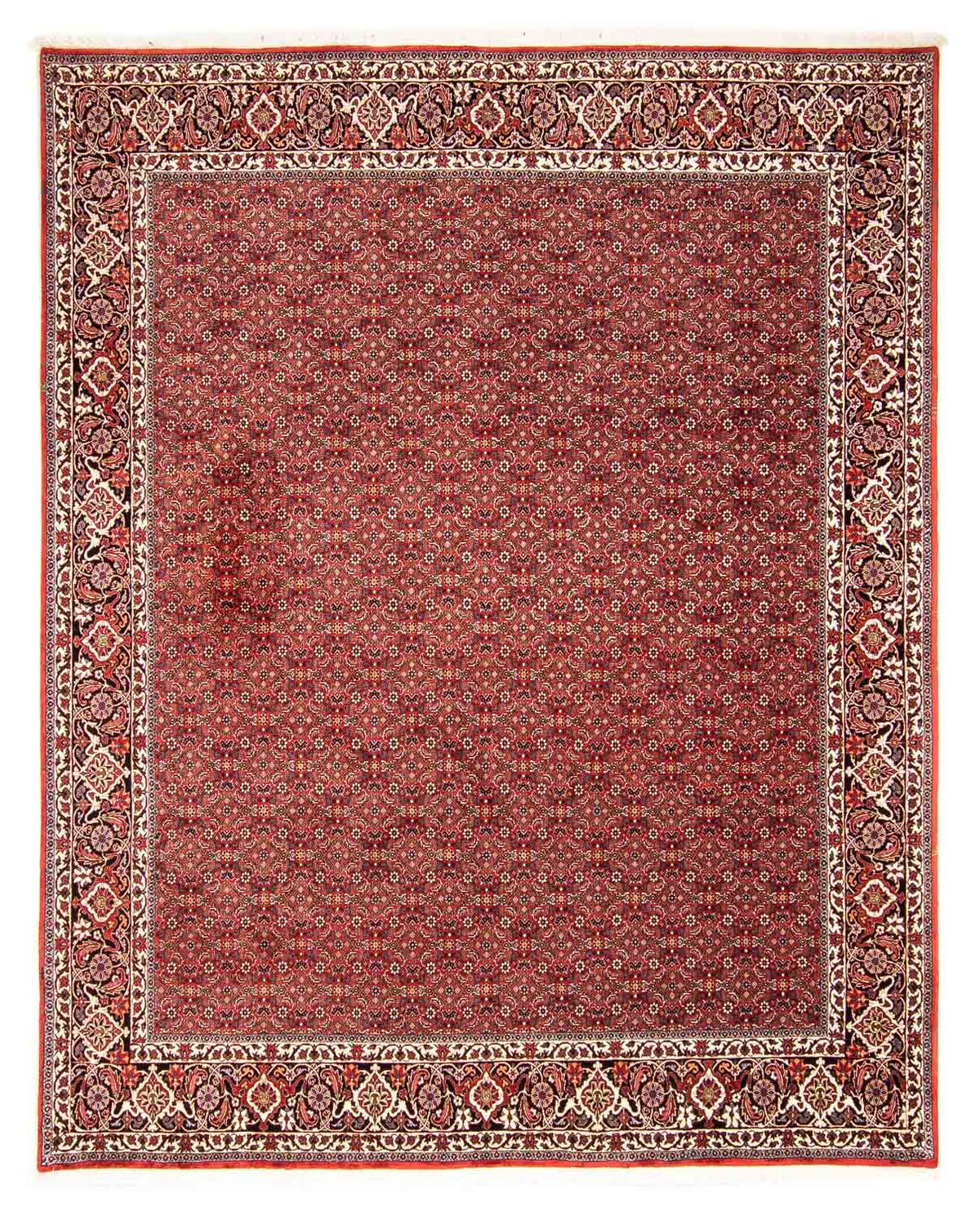 Alfombra persa - Bidjar - 290 x 250 cm - rojo