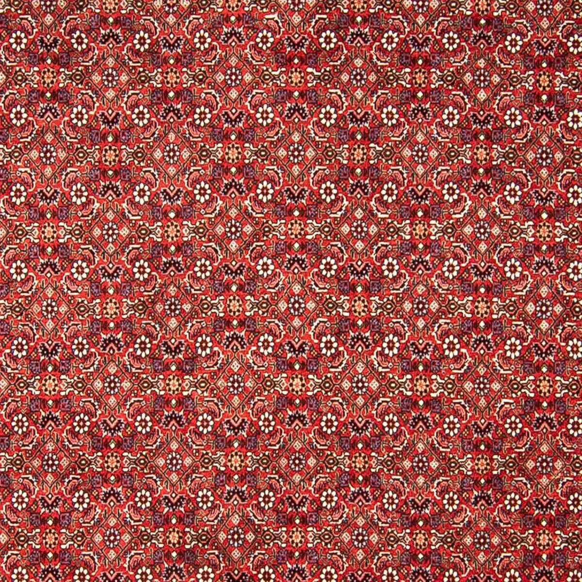 Alfombra persa - Bidjar - 290 x 250 cm - rojo