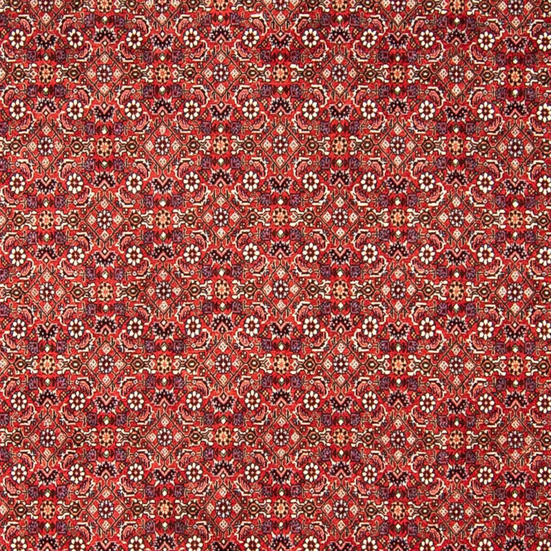 Alfombra persa - Bidjar - 290 x 250 cm - rojo