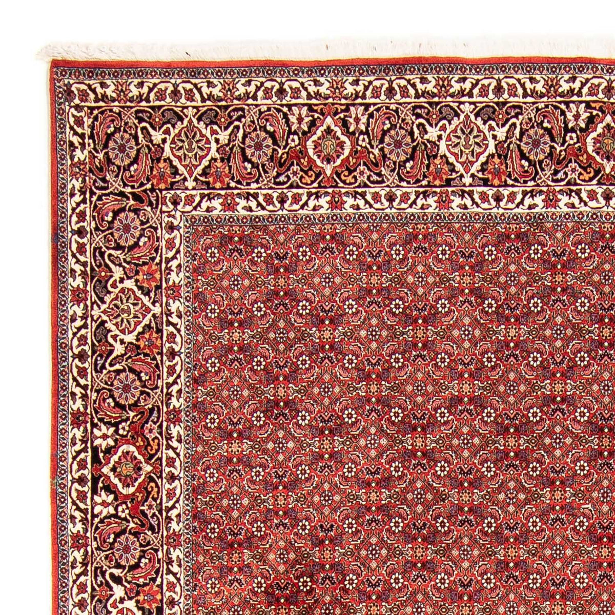 Alfombra persa - Bidjar - 290 x 250 cm - rojo