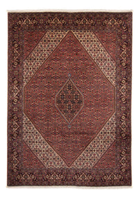 Alfombra persa - Bidjar - 350 x 248 cm - marrón