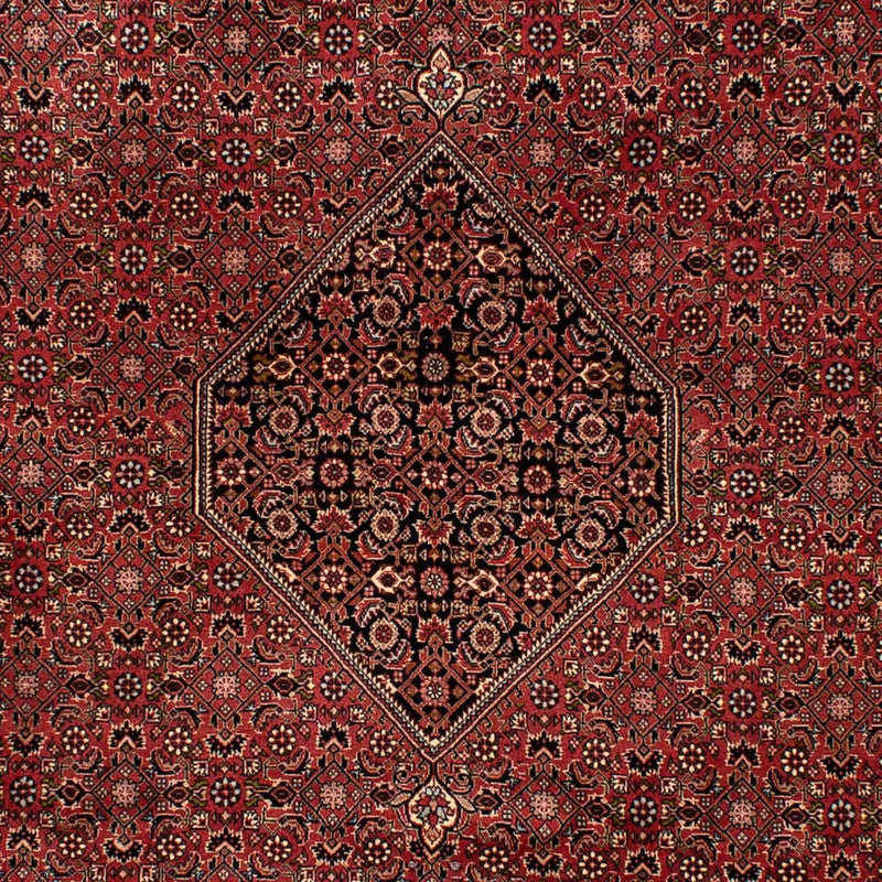 Alfombra persa - Bidjar - 300 x 202 cm - marrón