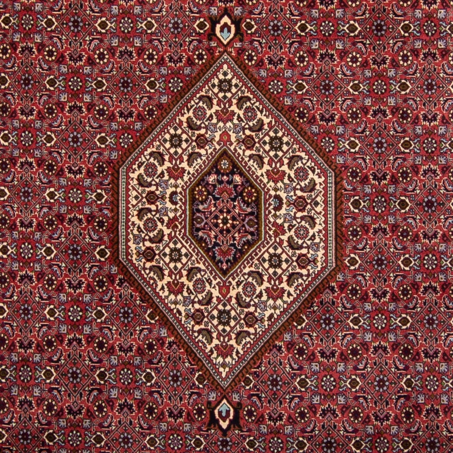 Alfombra persa - Bidjar - 338 x 250 cm - marrón