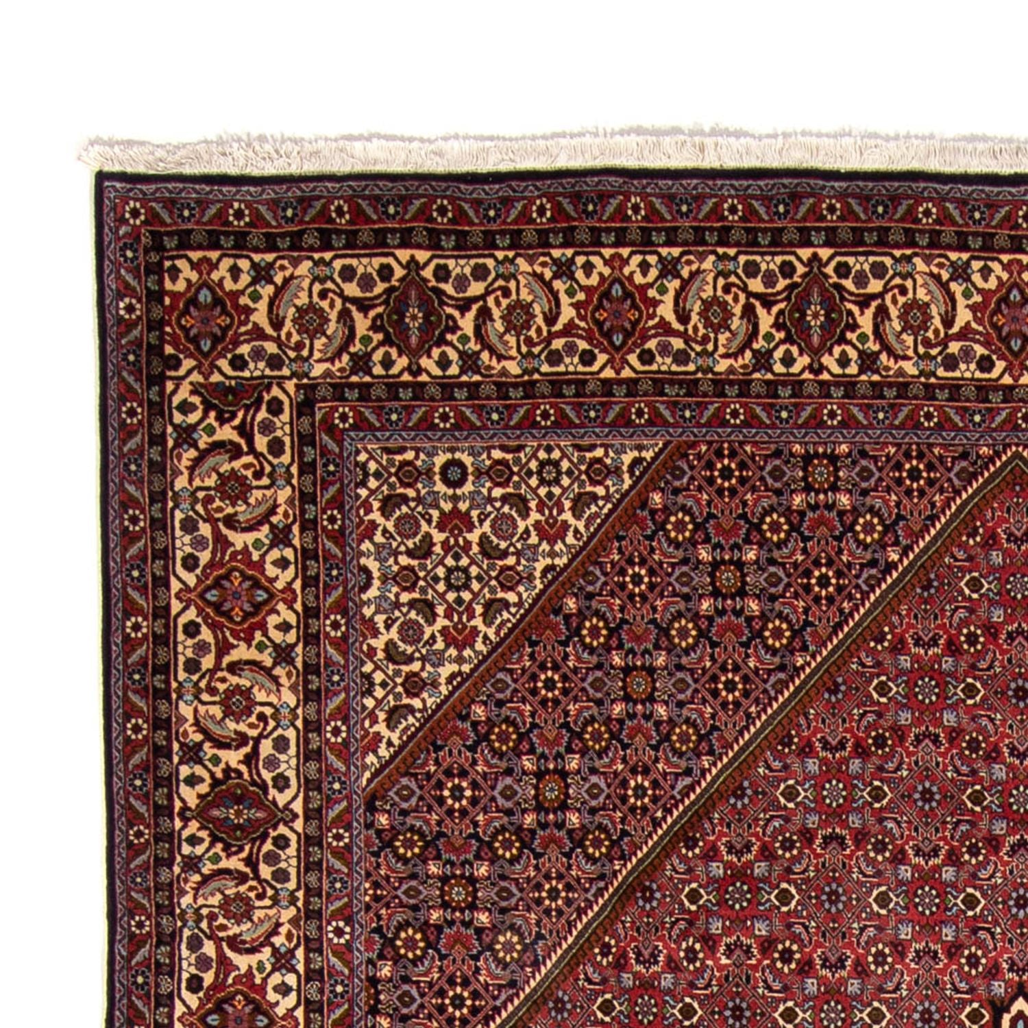 Alfombra persa - Bidjar - 338 x 250 cm - marrón