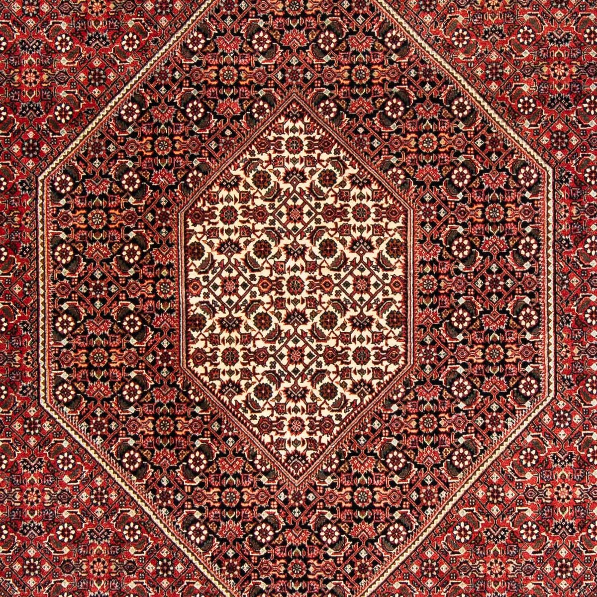 Alfombra persa - Bidjar - 233 x 169 cm - rojo oscuro