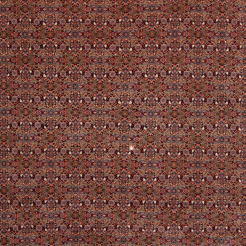 Alfombra persa - Nómada - 348 x 253 cm - marrón