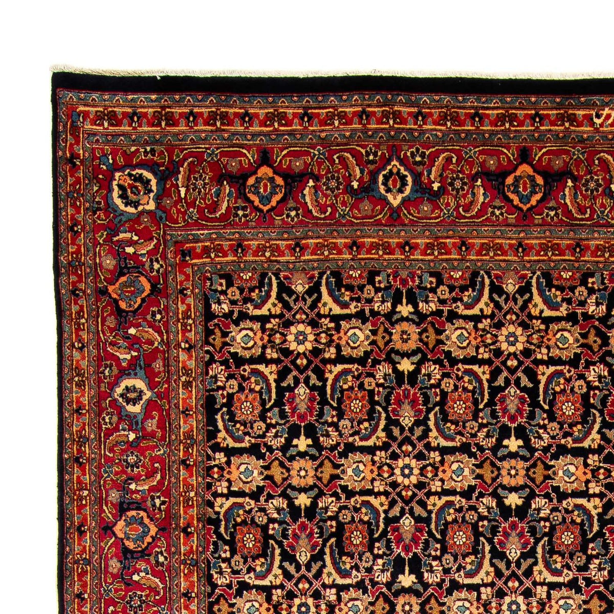 Mashhad Alfombra 288x375cm - Alfombra persa