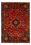 Alfombra persa - Nómada - 288 x 203 cm - rojo oscuro