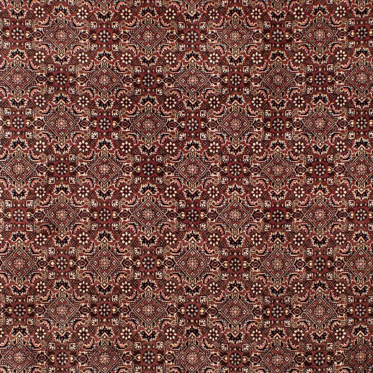Alfombra persa - Nómada - 307 x 192 cm - marrón