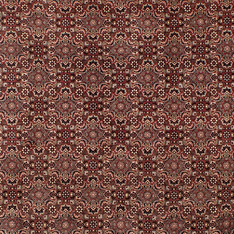Alfombra persa - Nómada - 307 x 192 cm - marrón