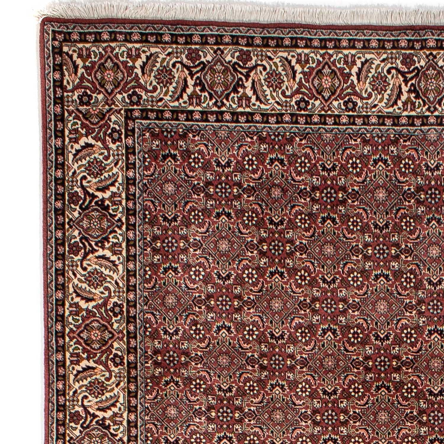 Alfombra persa - Nómada - 307 x 192 cm - marrón