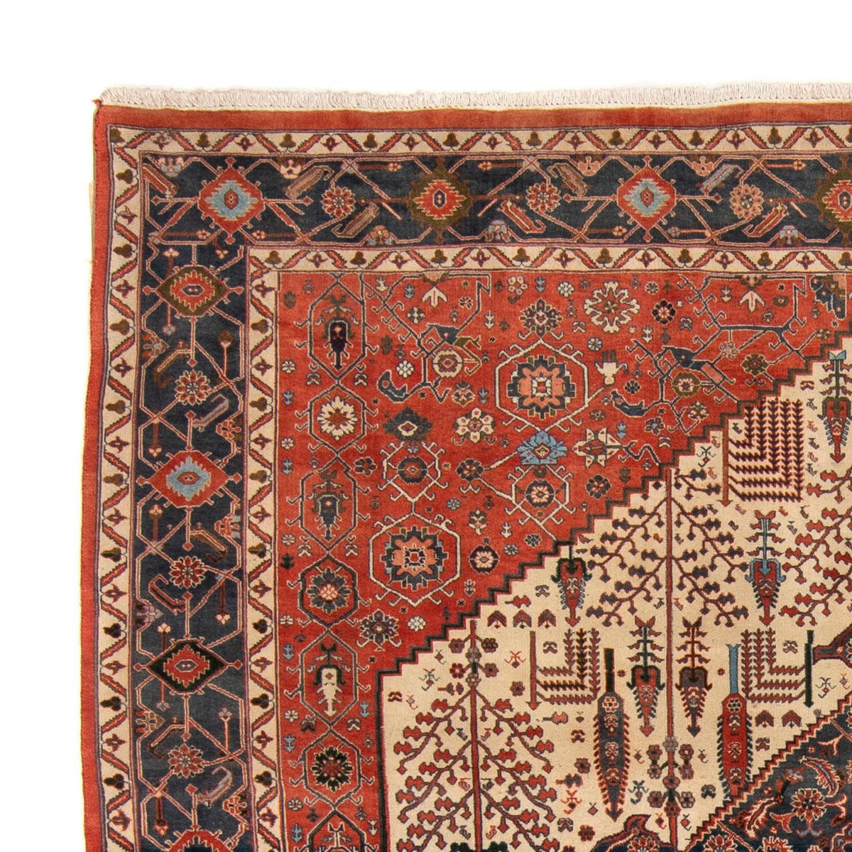 Kashkuli Alfombra 230x258cm - Alfombra persa