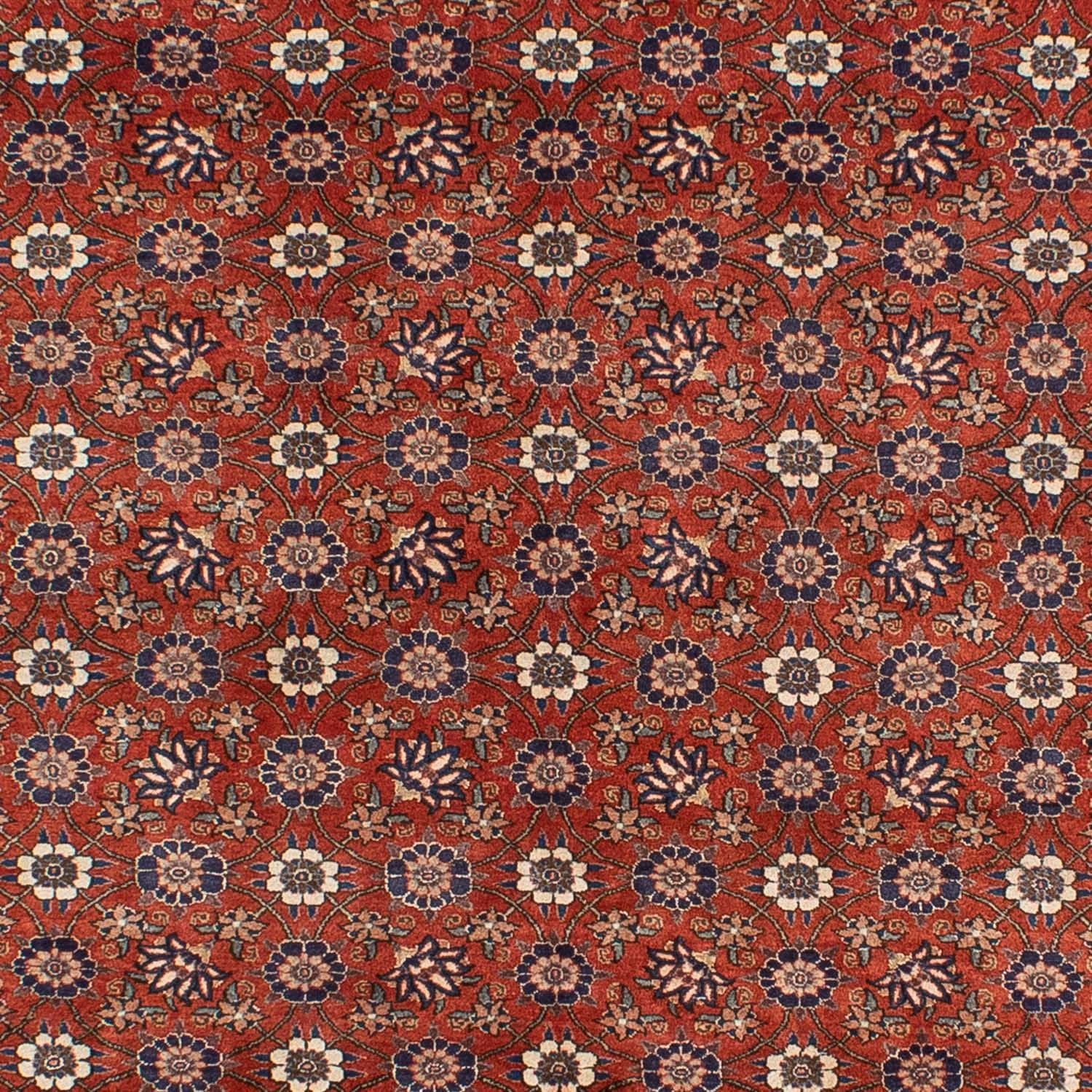 Alfombra persa - Nómada - 301 x 223 cm - rojo