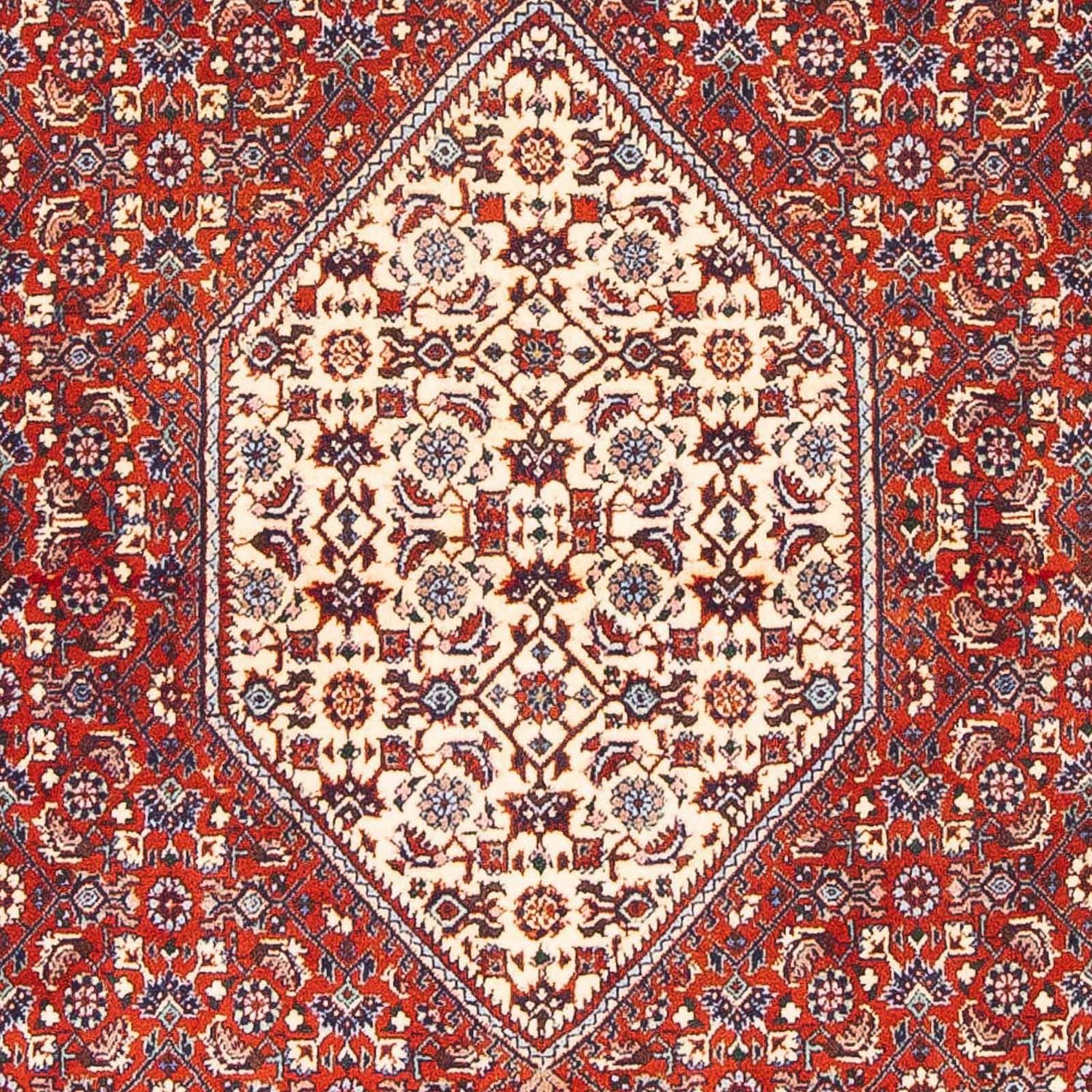 Alfombra persa - Bidjar - 168 x 110 cm - rojo