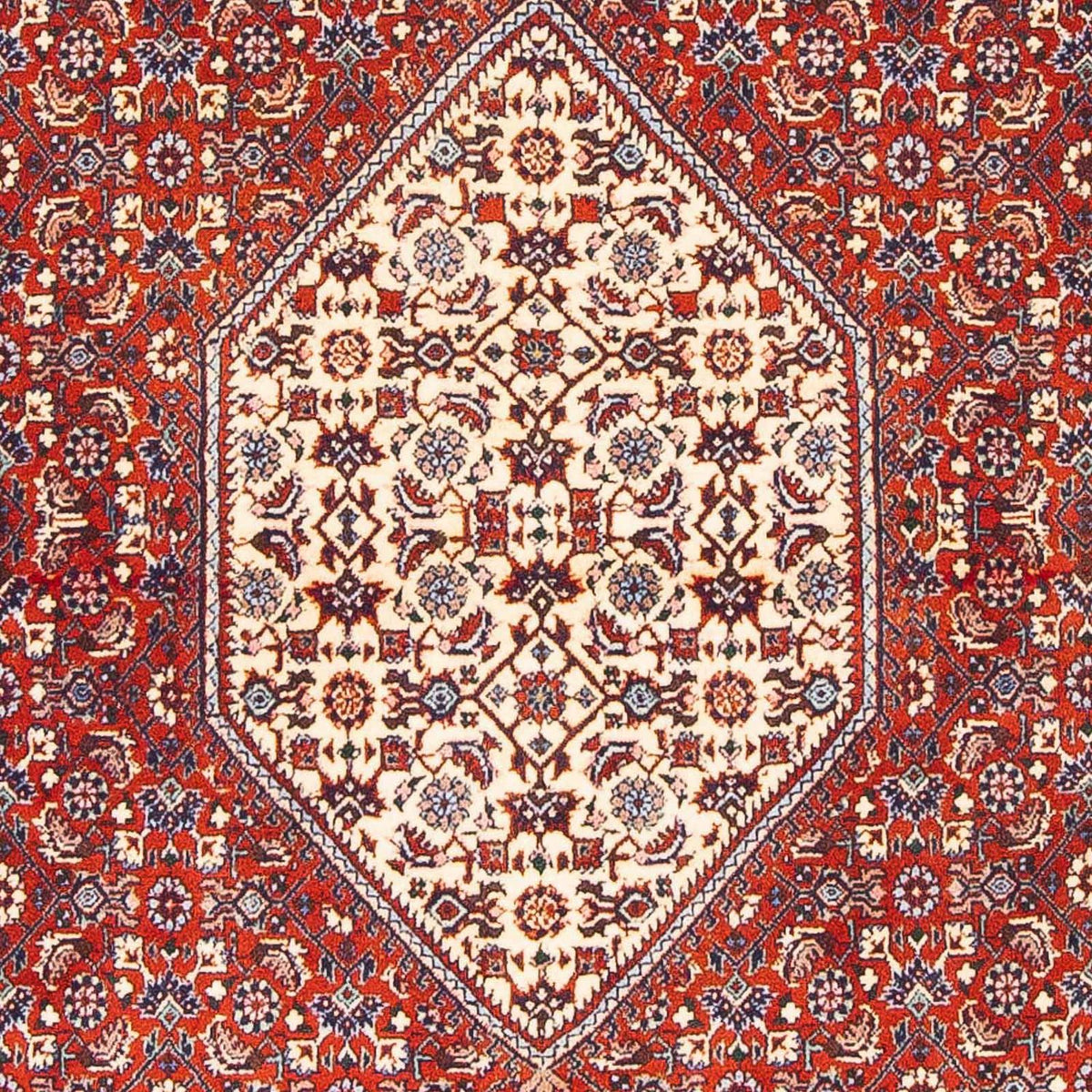 Alfombra persa - Bidjar - 168 x 110 cm - rojo