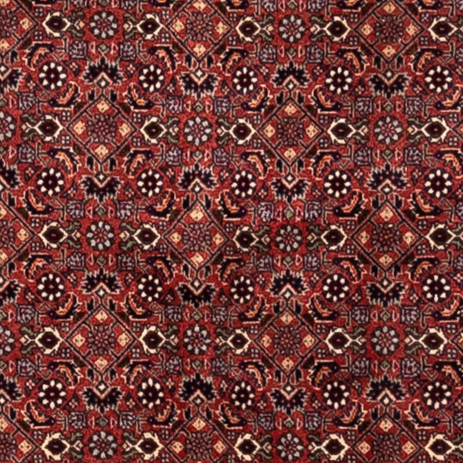 Alfombra persa - Bidjar - 293 x 200 cm - rojo