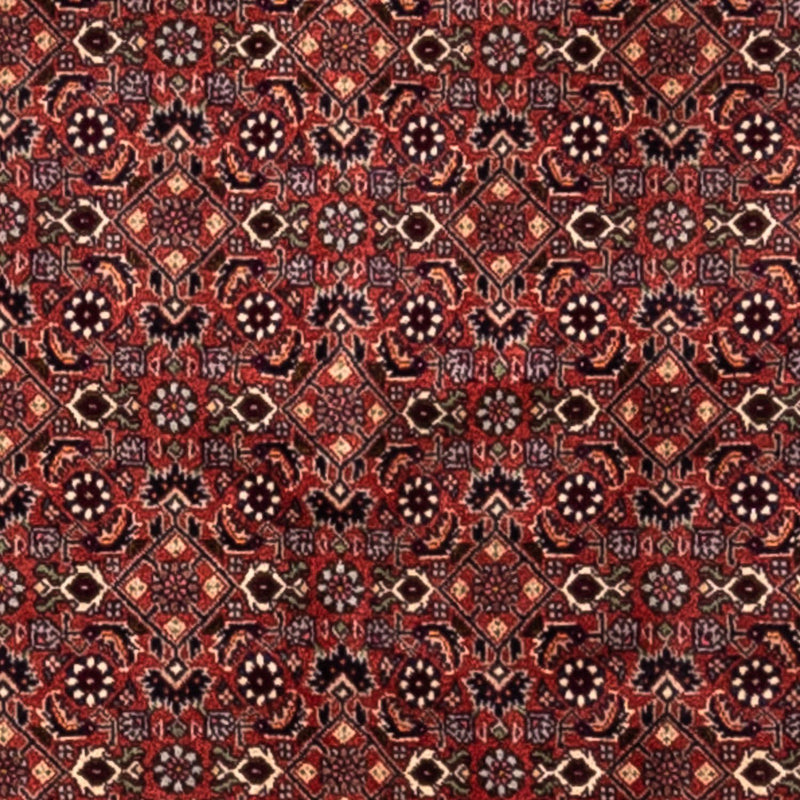 Alfombra persa - Bidjar - 293 x 200 cm - rojo