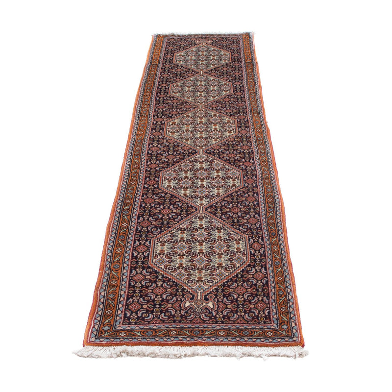 Alfombra de pasillo Alfombra persa - Clásica - 244 x 56 cm - multicolor
