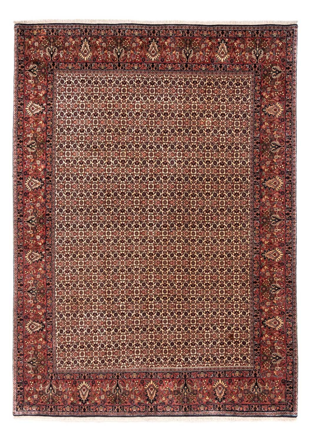 Alfombra persa - Bidjar - 287 x 208 cm - beige