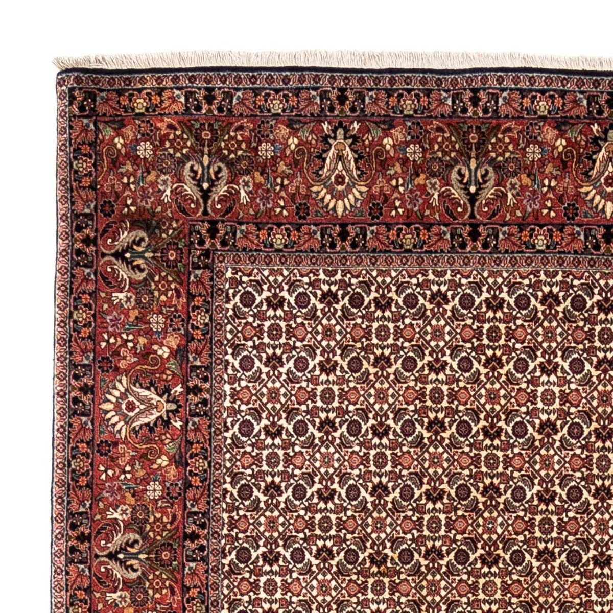 Alfombra persa - Bidjar - 287 x 208 cm - beige