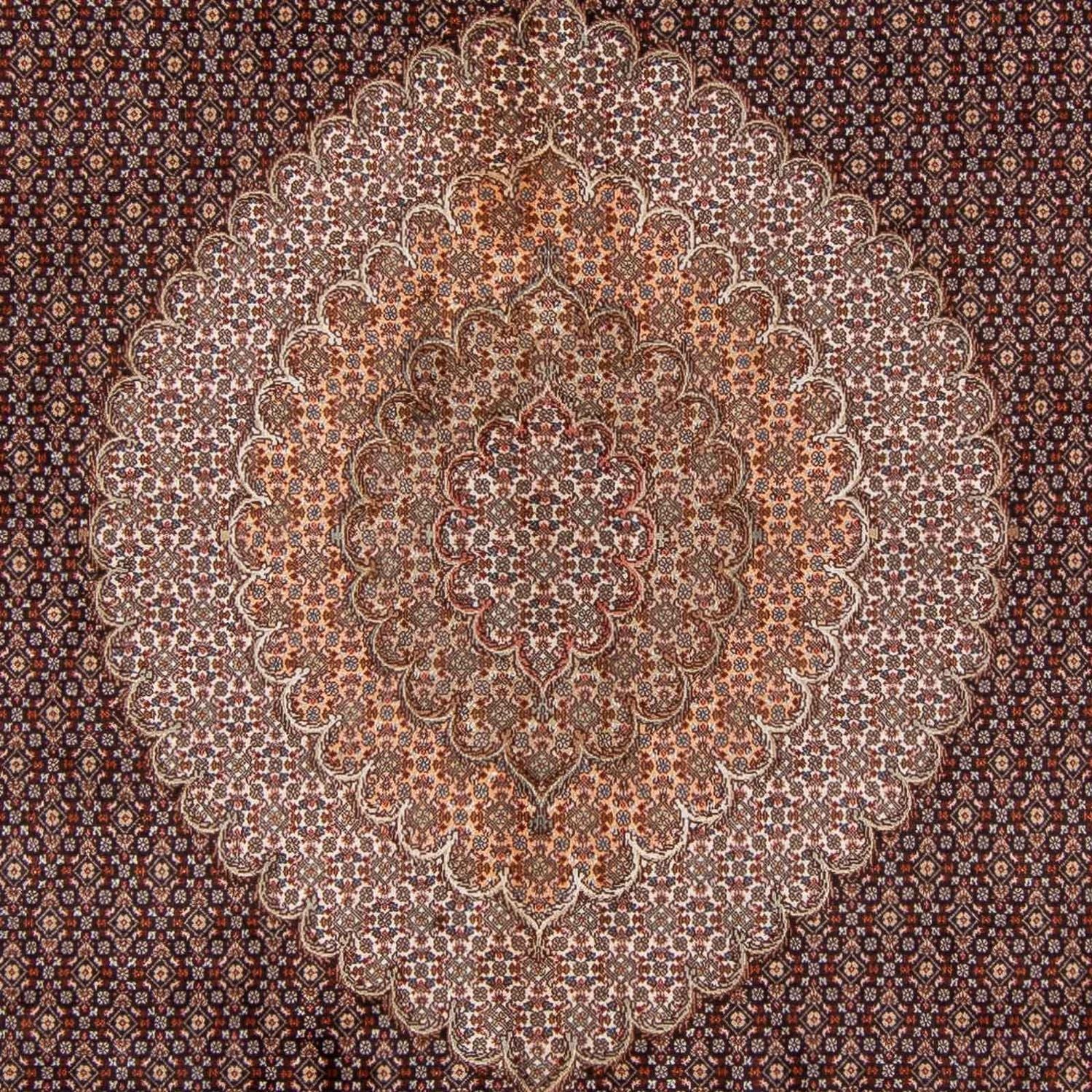 Alfombra persa - Tabriz - 350 x 250 cm - marrón claro