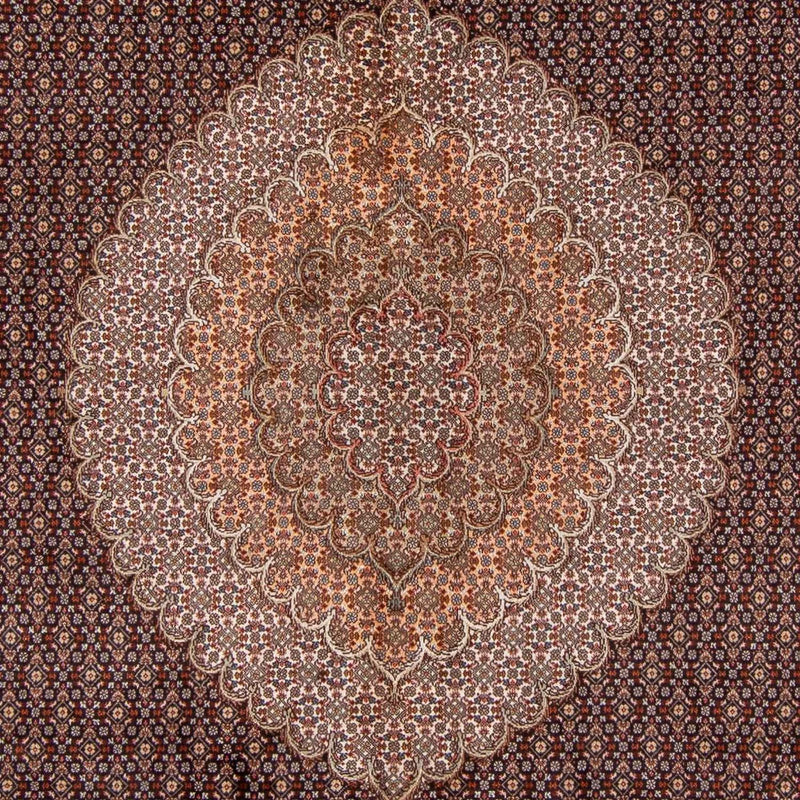 Alfombra persa - Tabriz - 350 x 250 cm - marrón claro