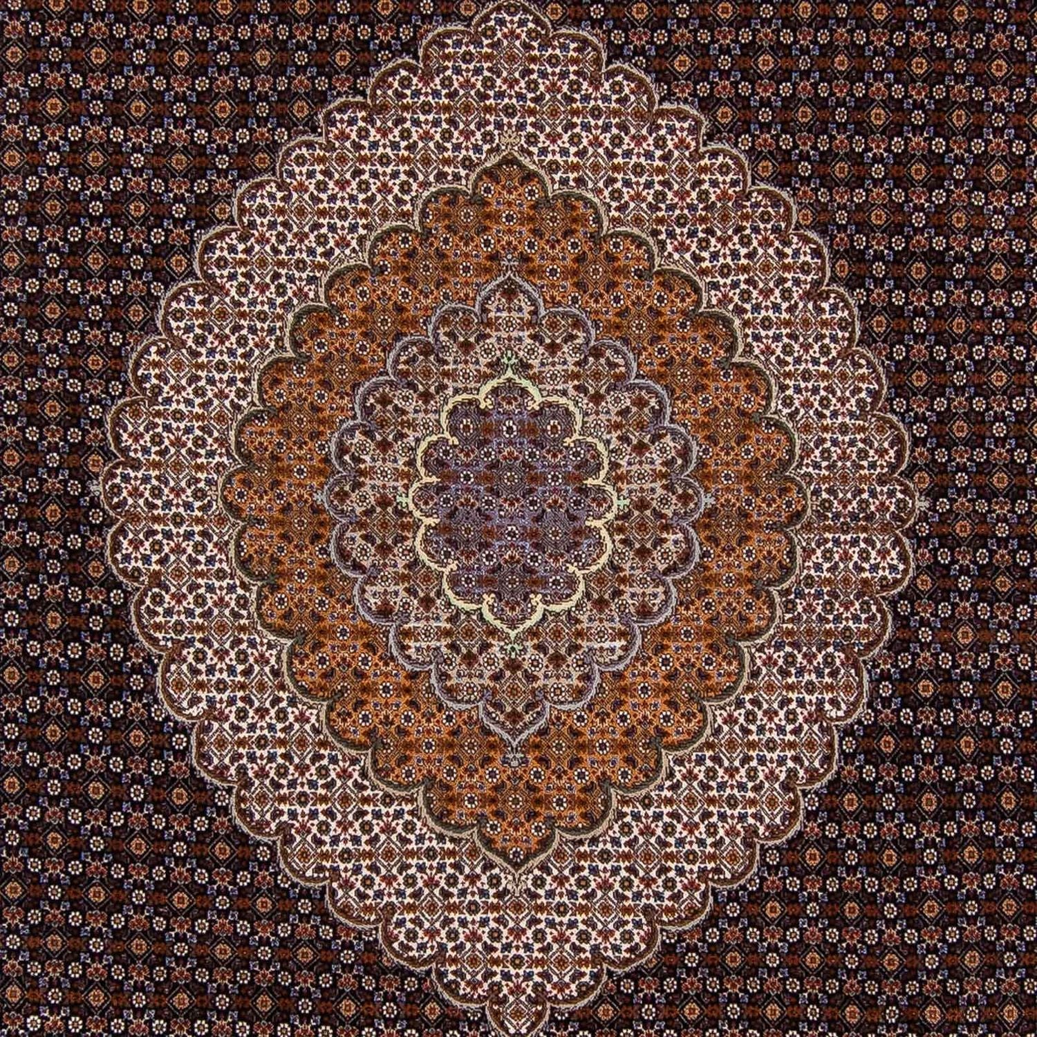 Alfombra persa - Tabriz - 340 x 255 cm - marrón oscuro