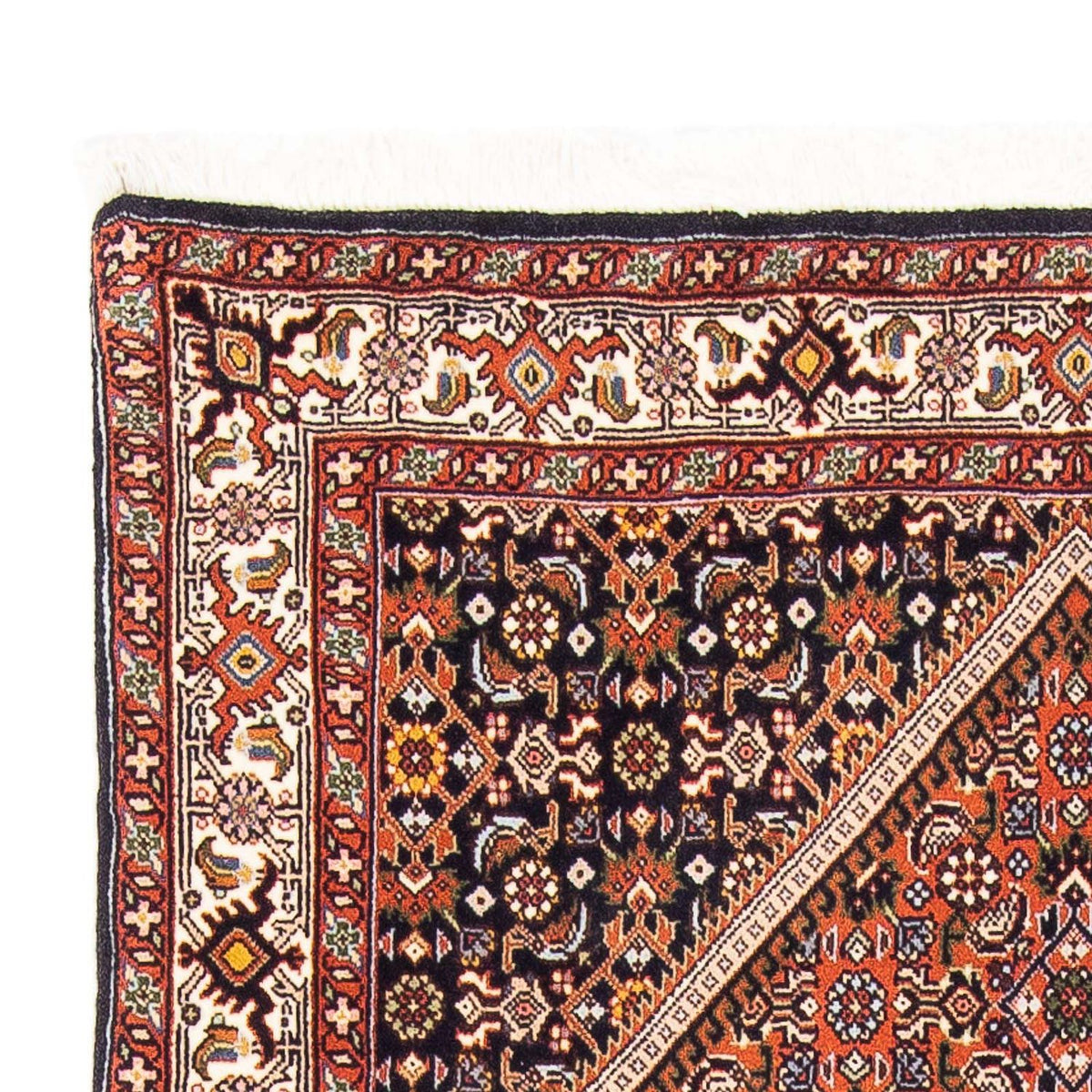 Bidjar - Zanjan Alfombra 105x169cm - Alfombra persa