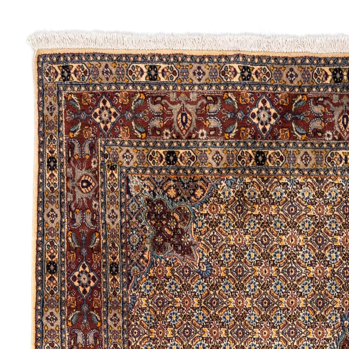 Moud Alfombra 160x238cm - Alfombra persa