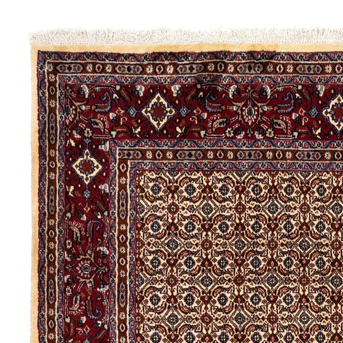 Moud Alfombra 169x238cm - Alfombra persa